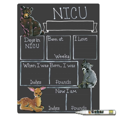 Mountain Theme NICU Milestone Boards