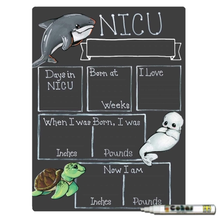 Ocean Theme NICU Milestone Boards