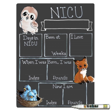 Woodland Theme NICU Milestone Boards