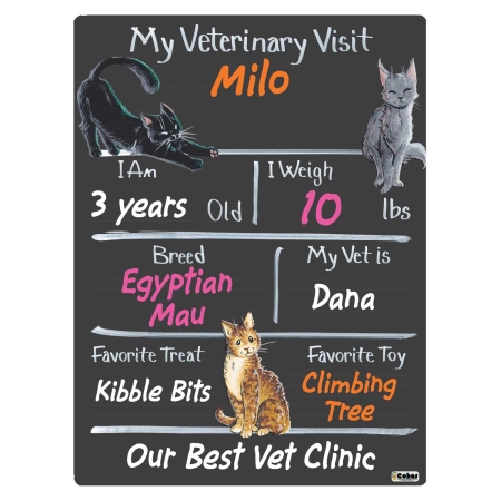 Vet Visit Milestone Boards with Cats