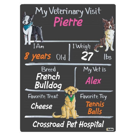 Vet Visit Milestone Boards with Dogs