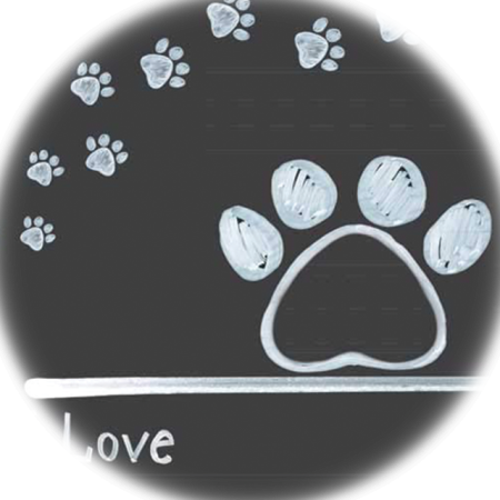 Pet Monthly Milestone Board with Paws Prints