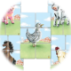 Simple Stuff Farm Animal Wooden Puzzles