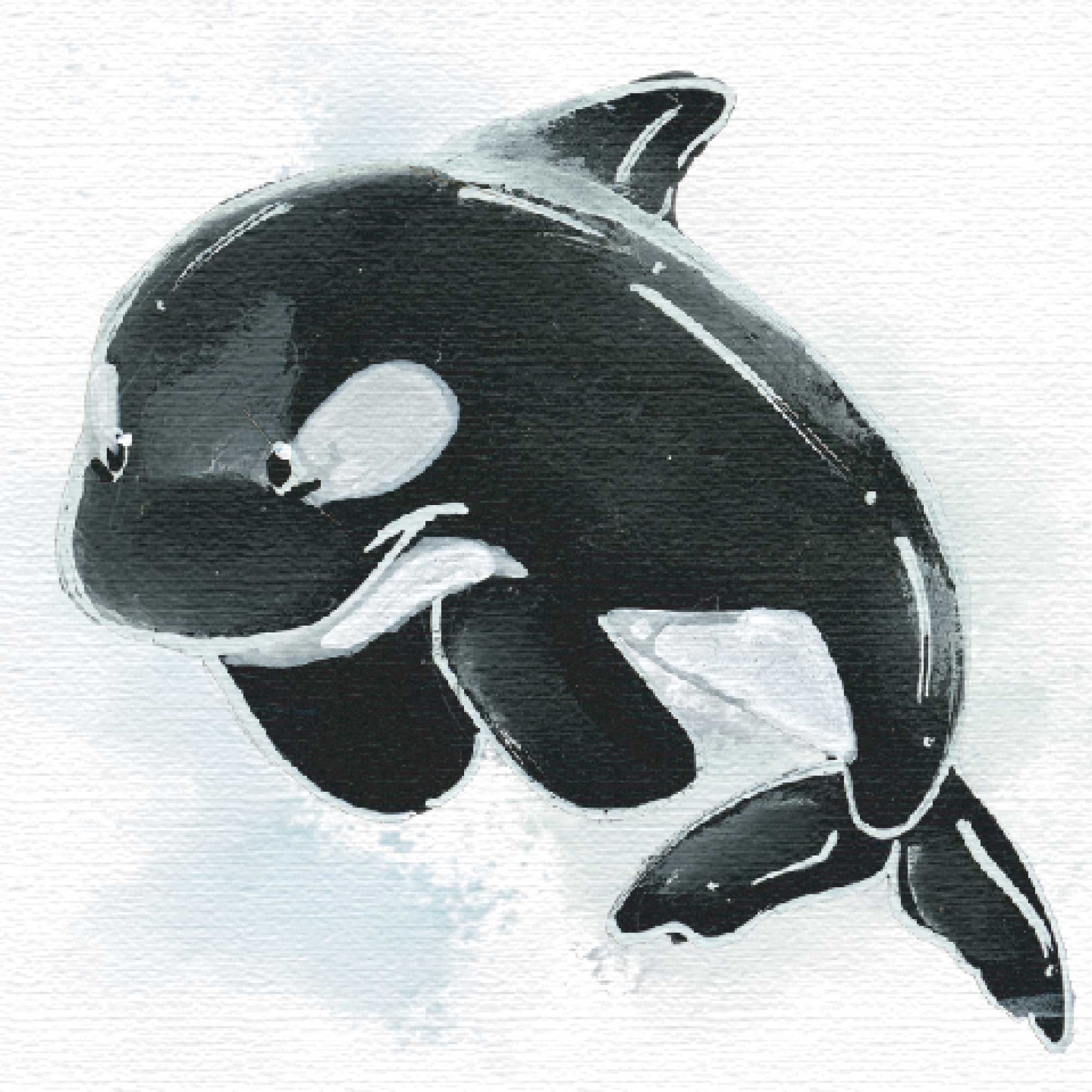 Ocean Animal Wall Art Prints 2 Ocean Animal Wall Art Prints