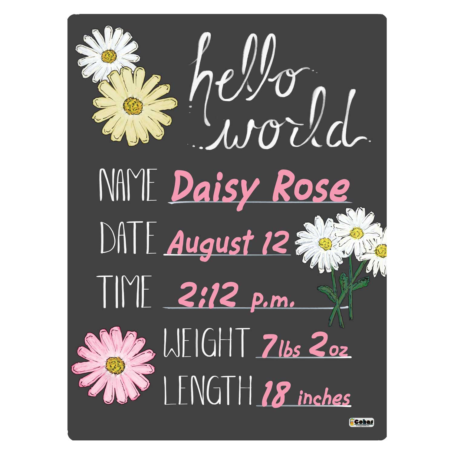 Chalkboard Cleaner Goat Theme Newborn Baby Announcement Chalkboards Chalk  Board Cleaner, image size:1500x1500