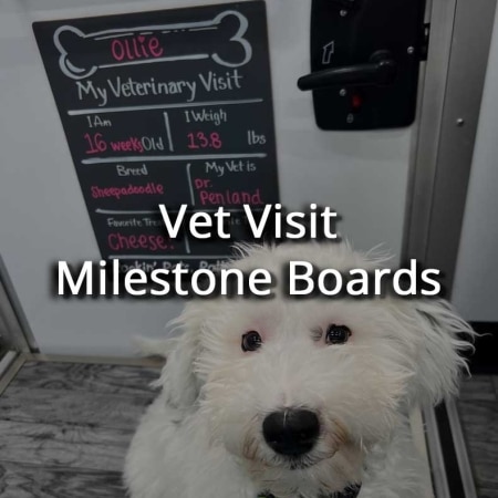 Vet Visit Milestone Boards