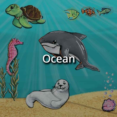 Ocean
