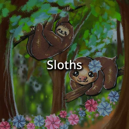 Sloth