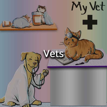 Vets